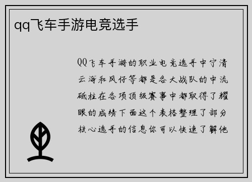 qq飞车手游电竞选手